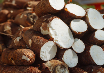 Raw Cassava Per tonne